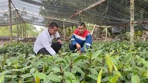 Tumbuhkan Kepedulian dan Kecintaan Terhadap Lahan Gambut, PT KPI Sei Pakning Selenggarakan Seminal Nasional