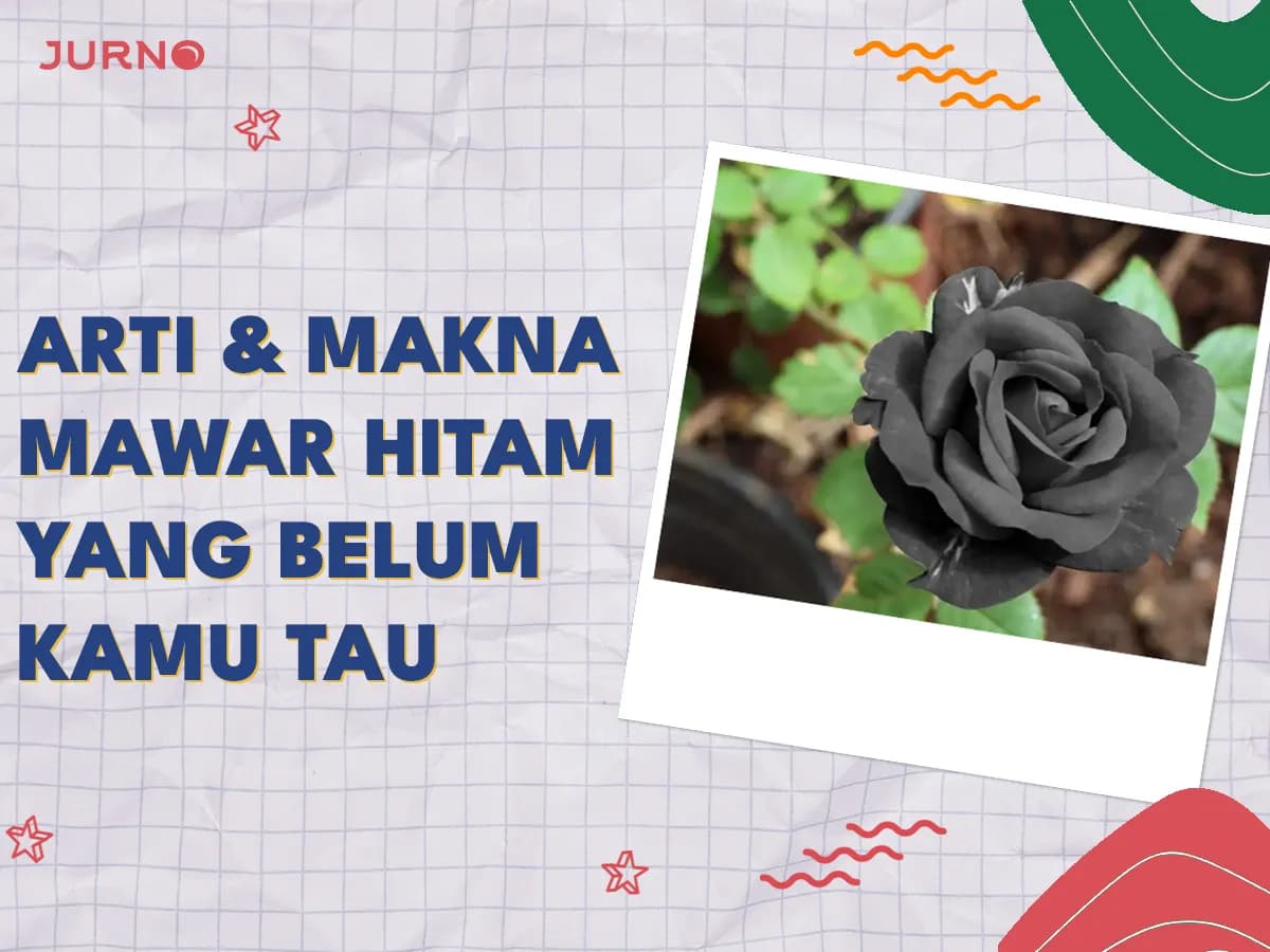 Mawar Hitam: 7 Fakta yang Belum Kamu Tahu