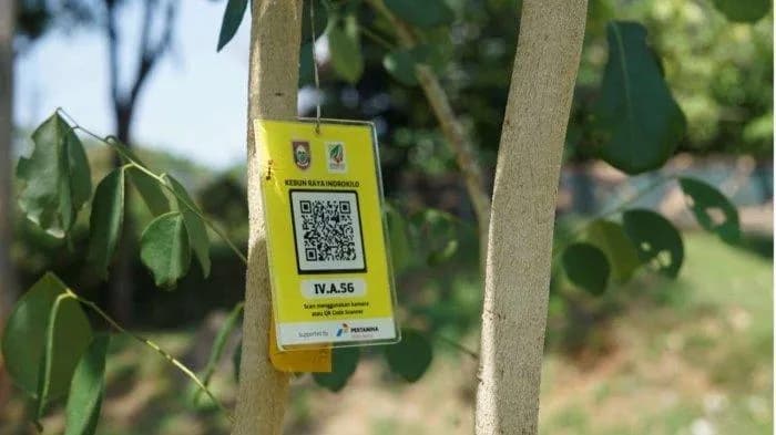 Edukasi Keanekaragaman Hayati, Pertamina dan DLH Pasang QR Code Tanaman Kebun Raya Indrokilo Boyolali