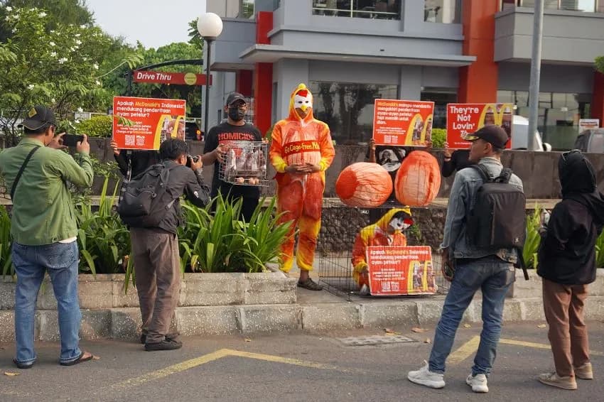 Tak Kunjung Terbitkan Komitmen Bebas Sangkar, Animal Friends Jogja Hadiahi McDonald’s Telur Penuh Darah Tak Kunjung Terbitkan Komitmen Bebas Sangkar, Animal Friends Jogja Hadiahi McDonald’s Telur Penuh Darah