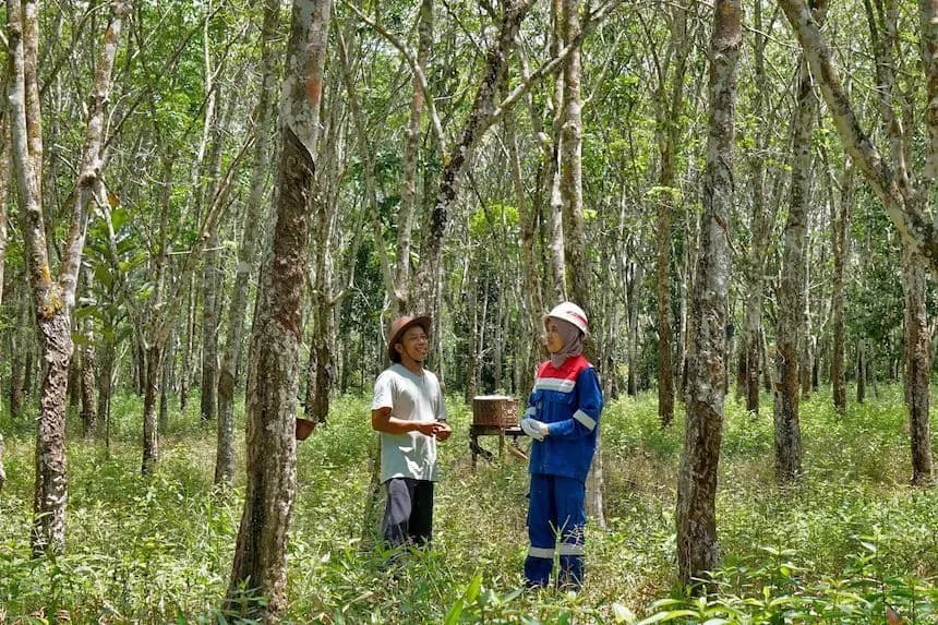 PGN Punya 4 Desa Binaan Unggulan, Usung Beragam Inovasi Sosial PGN Punya 4 Desa Binaan Unggulan, Usung Beragam Inovasi Sosial