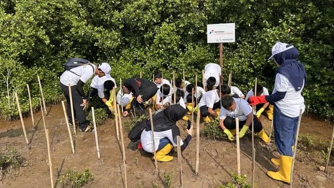 Kolaborasi Nyata Lindungi Laut Indonesia, PIS Ajak Masyarakat Tanam 20 Ribu Mangrove Kolaborasi Nyata Lindungi Laut Indonesia, PIS Ajak Masyarakat Tanam 20 Ribu Mangrove